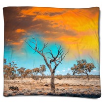 Autralian Outback Terrain Colors With Bush And Red Sand Blankets 68339538