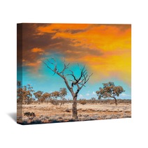 Autralian Outback Terrain Colors With Bush And Red Sand Wall Art 68339538