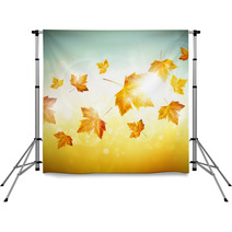 Autumn Background With Leaves Backdrops 53786250