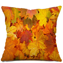 Autumn Leaves Pillows 57303409