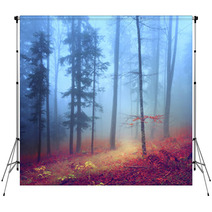 Autumn Mysterious Forest Backdrops 61136090