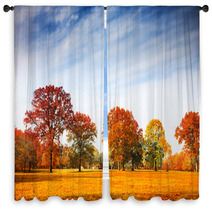 Autumn Trees Landscape Fall Season Window Curtains 56126587