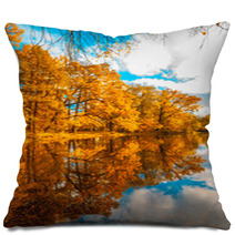 Autunm Trees Pillows 56433465