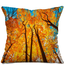 Autunm Trees Pillows 68126848