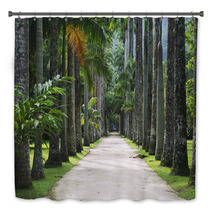 Avenue Of Royal Palms Botanic Garden Bath Decor 65859904