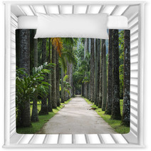 Avenue Of Royal Palms Botanic Garden Nursery Decor 65859904