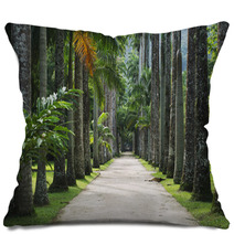 Avenue Of Royal Palms Botanic Garden Pillows 65859904