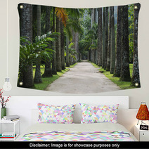 Avenue Of Royal Palms Botanic Garden Wall Art 65859904