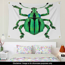 Azure Exotic Weevil (Eupholus Cuvieri) Isolated Wall Art 61286786