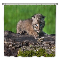 Baby Bobcat (Lynx Rufus) Looks Out From Atop Log Bath Decor 91428314