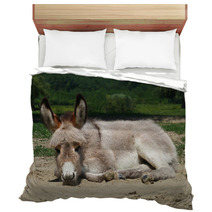 Baby Donkey Laying On The Field Bedding 99191132