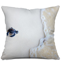Baby Green Turtle Pillows 41896389