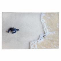 Baby Green Turtle Rugs 41896389