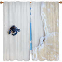 Baby Green Turtle Window Curtains 41896389