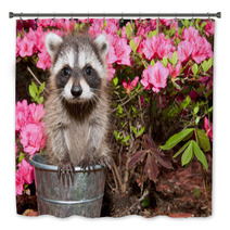 Baby Raccoon Bath Decor 65611171