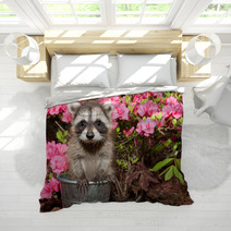 Baby Raccoon Bedding 65611171