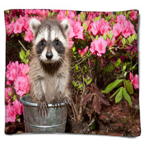 Baby Raccoon Blankets 65611171