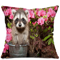 Baby Raccoon Pillows 65611171