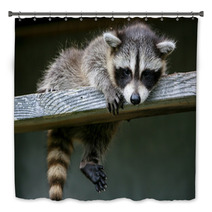 Baby Raccoon Ventures From Nest Bath Decor 97327203