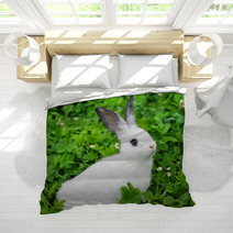 Baby White Rabbit In Grass Bedding 54209618