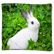 Baby White Rabbit In Grass Blankets 54209618