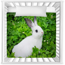 Baby White Rabbit In Grass Nursery Decor 54209618