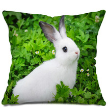 Baby White Rabbit In Grass Pillows 54209618