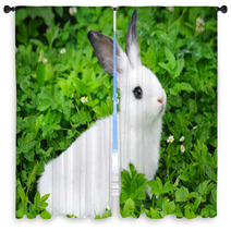 Baby White Rabbit In Grass Window Curtains 54209618
