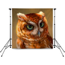 Owl Backdrops 138973587