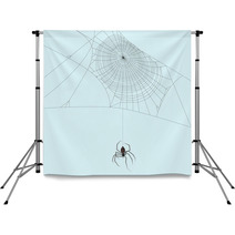 Spider Backdrops 215304103