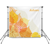 Background Greeting Card With Stylized Autumn Leaves Backdrops 67588635