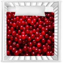 Background Of Ripe Cherry Nursery Decor 66707777