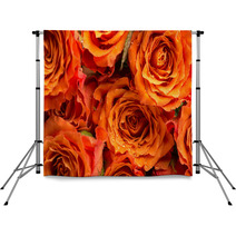 Background Texture Of Romantic Orange Roses Backdrops 71294536