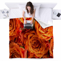 Background Texture Of Romantic Orange Roses Blankets 71294536