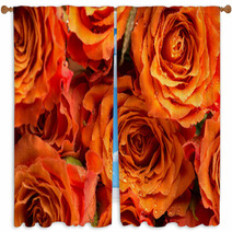 Background Texture Of Romantic Orange Roses Window Curtains 71294536