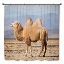 Bactrian Camel In The Steppes Of Mongolia Bath Decor 50535217