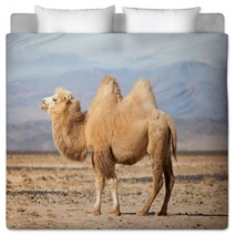 Bactrian Camel In The Steppes Of Mongolia Bedding 50535217