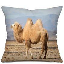 Bactrian Camel In The Steppes Of Mongolia Pillows 50535217