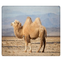 Bactrian Camel In The Steppes Of Mongolia Rugs 50535217
