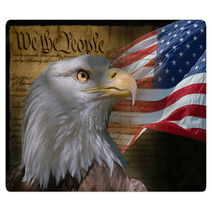 Bald Eagle And American Flag Rugs 862986