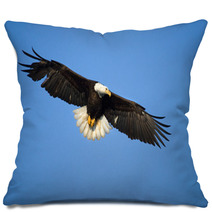 Bald Eagle In Flight , Alaska Pillows 59234463