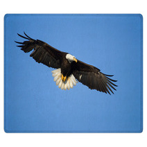 Bald Eagle In Flight , Alaska Rugs 59234463