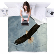 Bald Eagle In Flight Awaiting Fish Feeding Blankets 37443613
