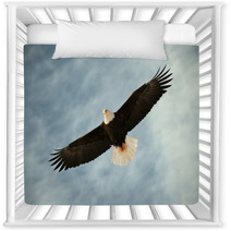 Bald Eagle In Flight Awaiting Fish Feeding Nursery Decor 37443613