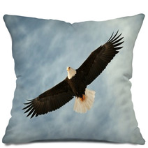 Bald Eagle In Flight Awaiting Fish Feeding Pillows 37443613