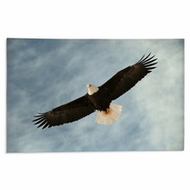 Bald Eagle In Flight Awaiting Fish Feeding Rugs 37443613
