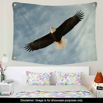 Bald Eagle In Flight Awaiting Fish Feeding Wall Art 37443613