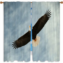 Bald Eagle In Flight Awaiting Fish Feeding Window Curtains 37443613