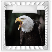 Bald Eagle Nursery Decor 64346186