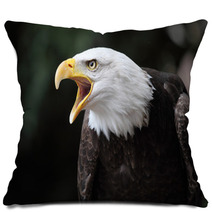 Bald Eagle Pillows 64346186